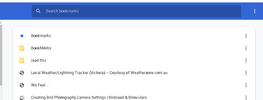 screen shot of the bookmarks folder in chrome
