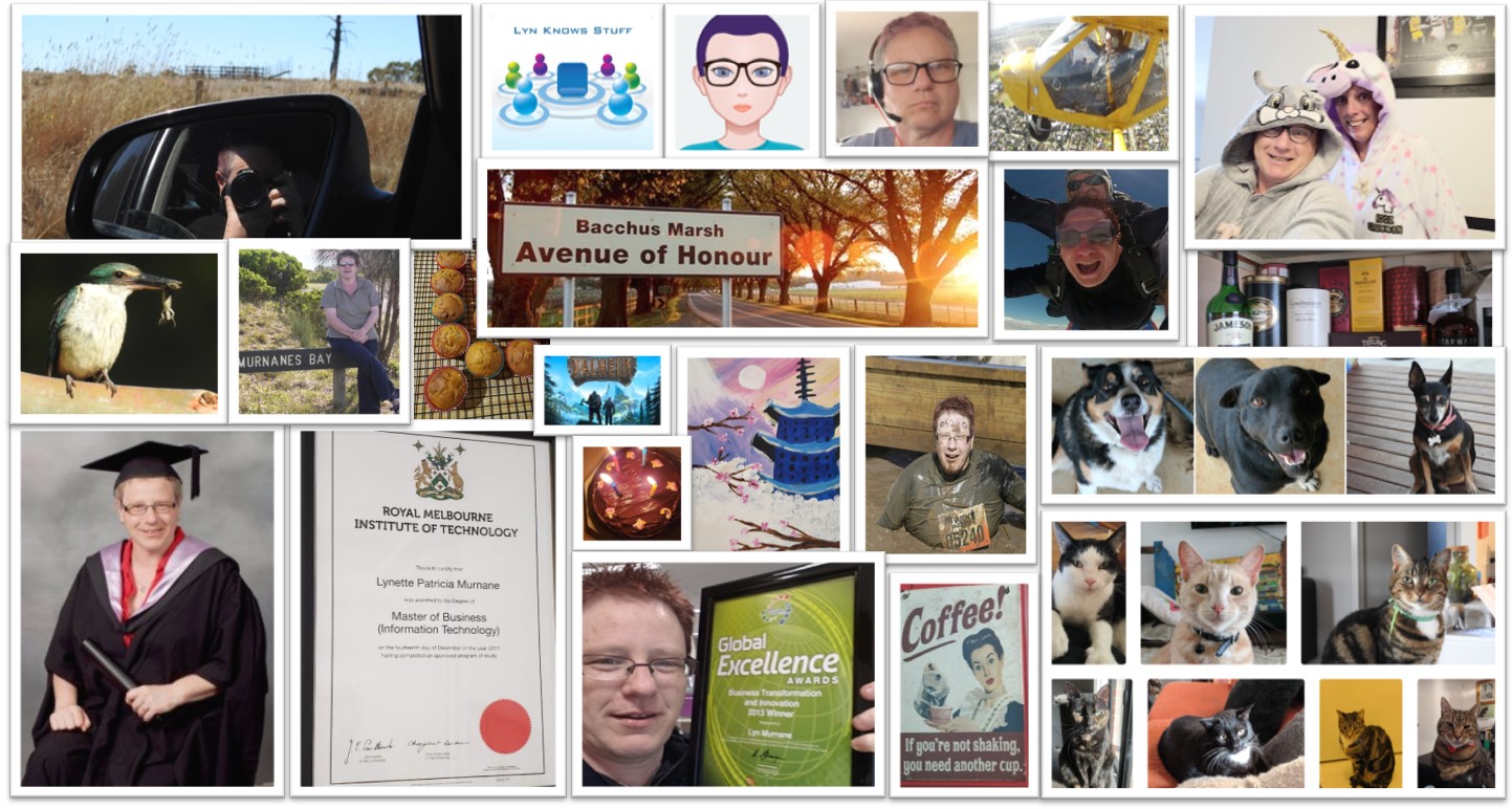 an combination of image of Lyn undertaking different activities, pictures of the dogs and cats, some photos I have taken